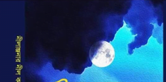 বইমেলায় কবি হামিদা পারভীন শম্পার ” নীলাঞ্জনার নীল কষ্ট “