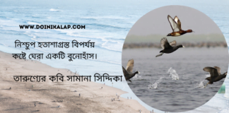 “বুনোহাঁস ” কবিতা লিখেছেন তারুণ্যের কবি সামানা সিদ্দিকা