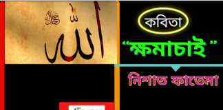 “ক্ষমাচাই”কবিতাটি সৃষ্টিশৈলী প্রয়োগ করে লিখেছেন কবি-নিশাত ফাতেমা।