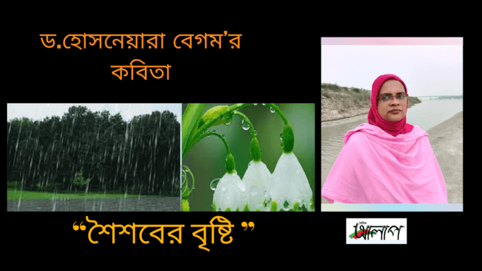 Doinik Alap
