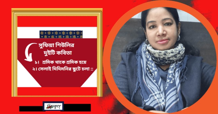 সুফিয়া শিউলি